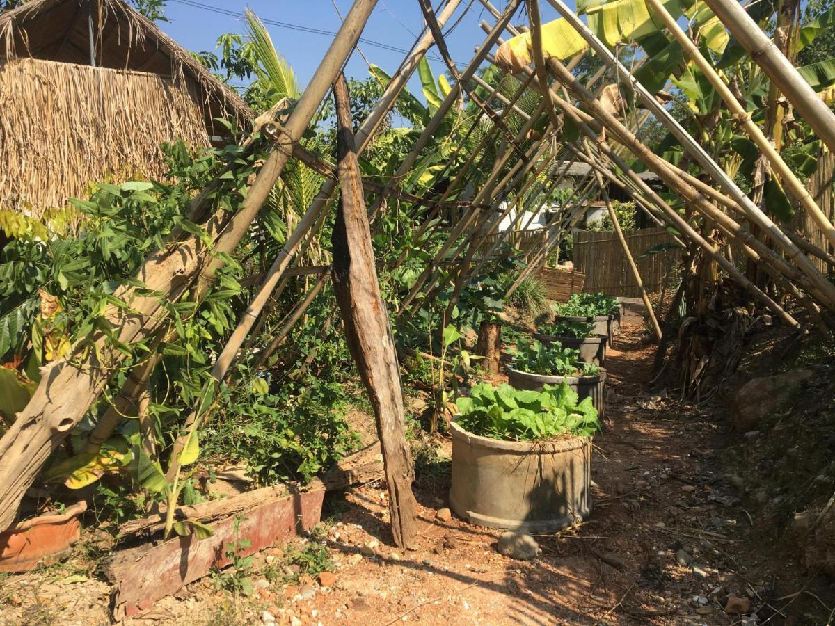 Thong Family Homestay Chiangdao Chiang Dao Ngoại thất bức ảnh