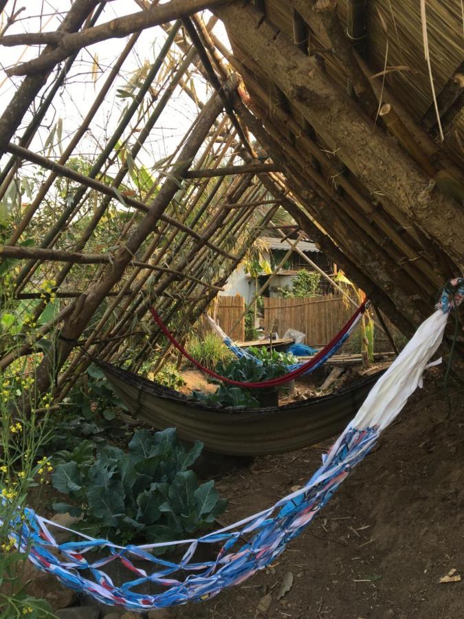 Thong Family Homestay Chiangdao Chiang Dao Ngoại thất bức ảnh