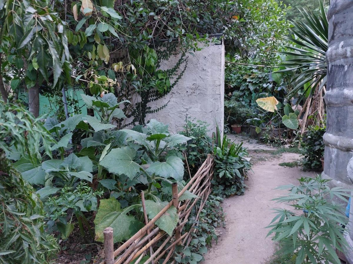 Thong Family Homestay Chiangdao Chiang Dao Ngoại thất bức ảnh