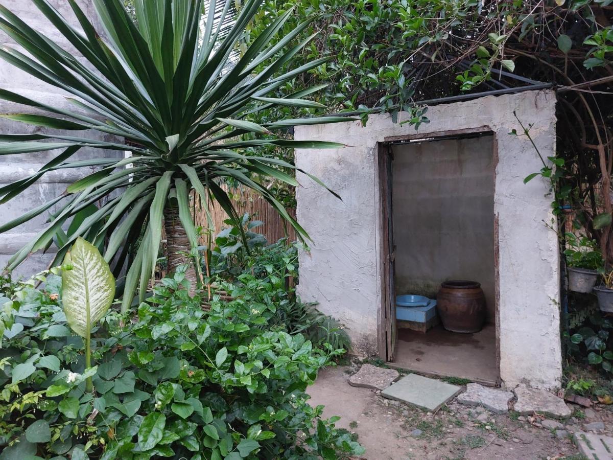 Thong Family Homestay Chiangdao Chiang Dao Ngoại thất bức ảnh