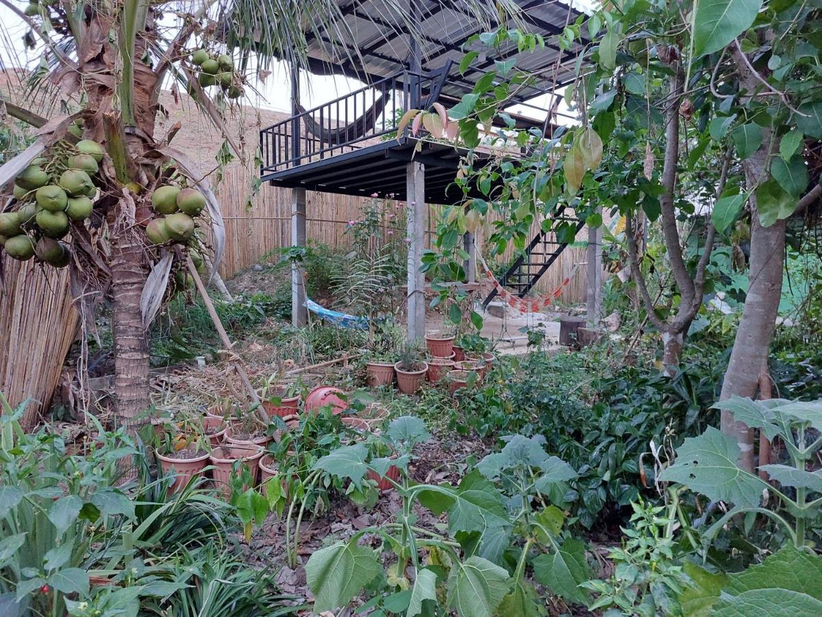 Thong Family Homestay Chiangdao Chiang Dao Ngoại thất bức ảnh